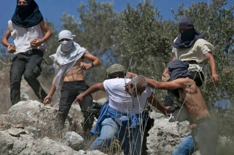 West Bank Olive Harvest Sees Highest Level of Settler Attacks in Five Years
