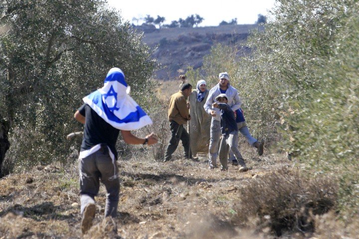 259 Attacks Mar Olive Harvest as Settlers and Forces Target Farmers
