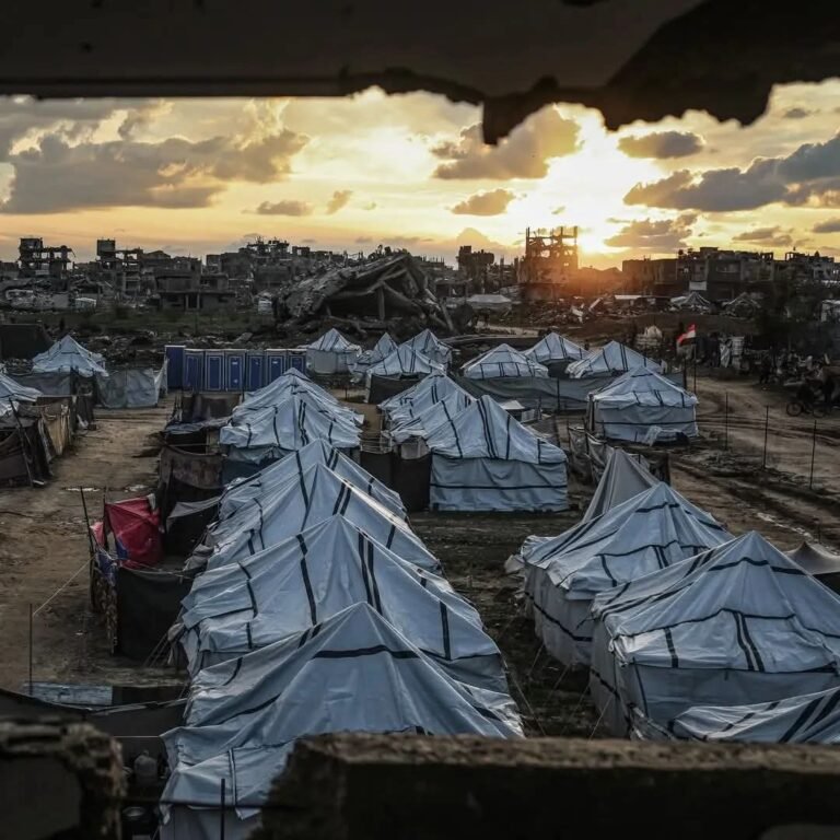 FB_IMG_1766047697762